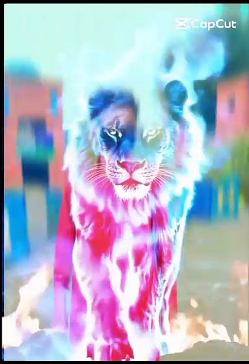 #part4  #foryou #viralvideo #trendingvideo #fry #fyp #foryoupage