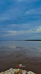 جنهن پاڻي تي ٿا پاڻ جيئون، تنهن سنڌوءَ مان ٿو ساز اچي   #maxrecords #larkana #sindh #villagelife