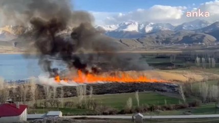 Kuş cenneti alevlere teslim oldu