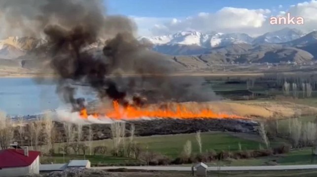 Kuş cenneti alevlere teslim oldu