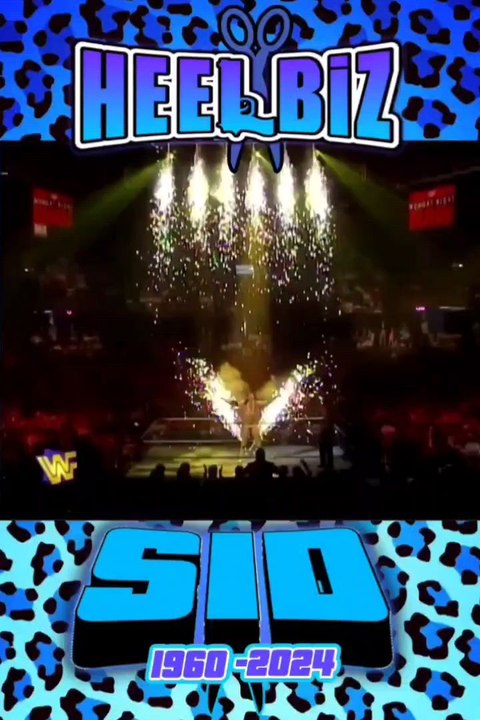 HEEL-METER HEEL🔥Heat Score (🔥🔥🔥🔥) 5 Character Moment Replay Value score:(❤️‍🔥❤️‍🔥❤️‍🔥) #HEELBiZ #SidVicious with a score of 🔥4 ❤️‍🔥3 (Sneak attack) (FOR STRONG HEELS) NOBODY DID THIS BETTER THAN SID 🌎