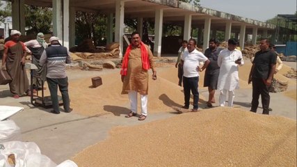 VIDEO: व्यापारियों पर खुद का पुराना गेहूं तुलवाने का आरोप, विधायक पहुंचे मौके पर