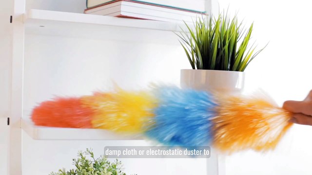 How to Tackle Seasonal Allergies with Effective Home Cleaning