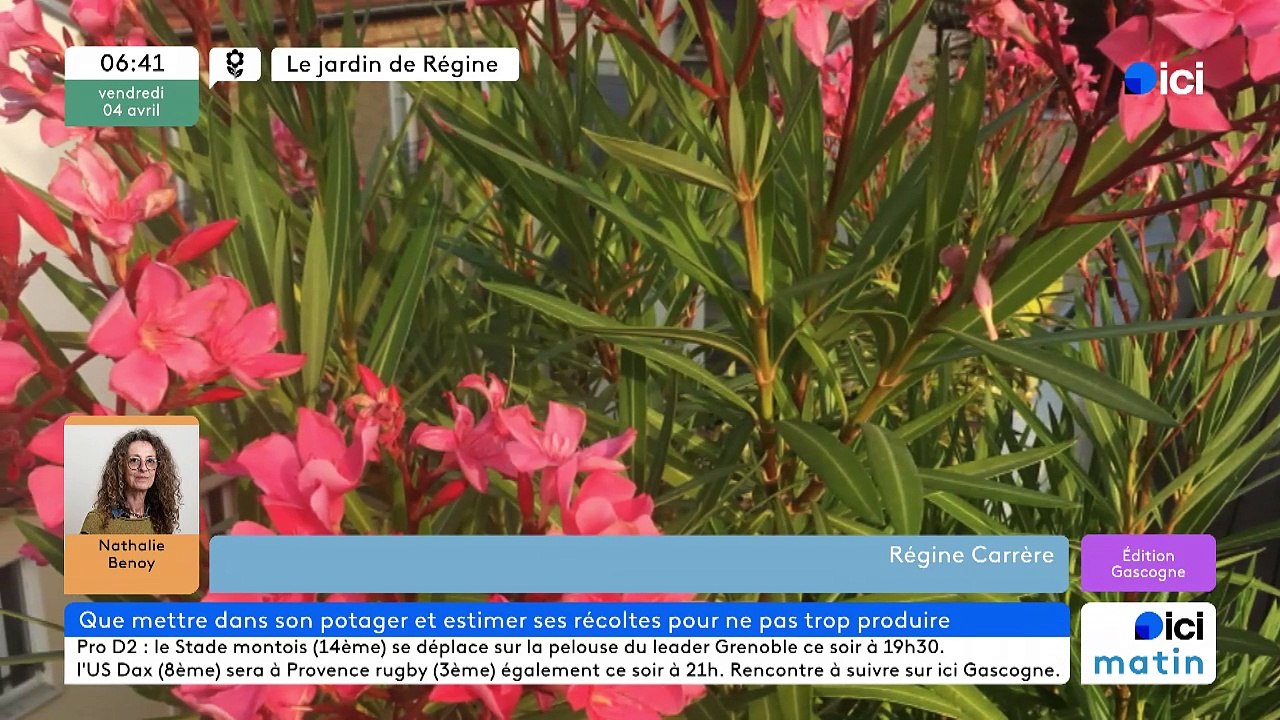 04/04/2025 - ici matin par ici Gascogne en vidéo