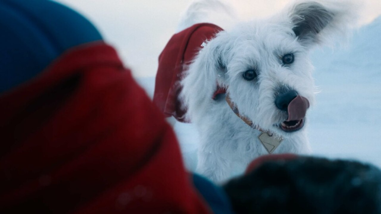 Super-Hund vs. Superman: Die erste Szene aus dem neuen DC-Film überrascht mit ungewöhnlichem »Duell«