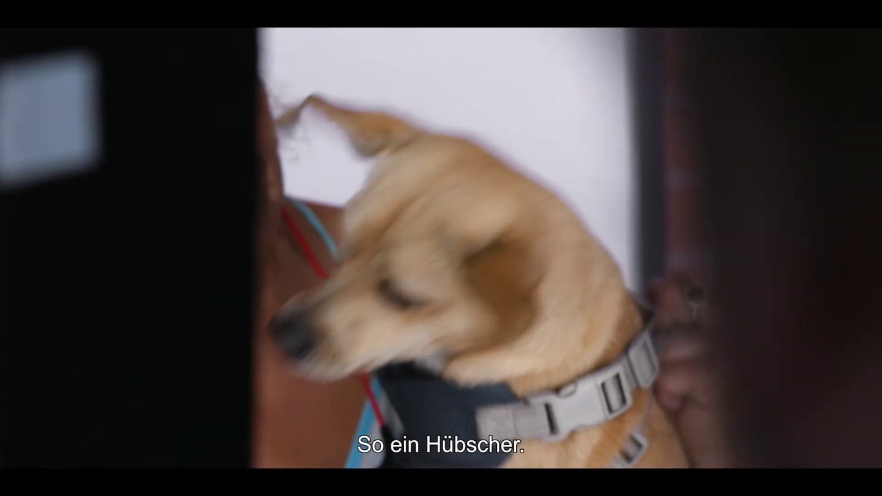 We All Bleed Red Trailer OmdU