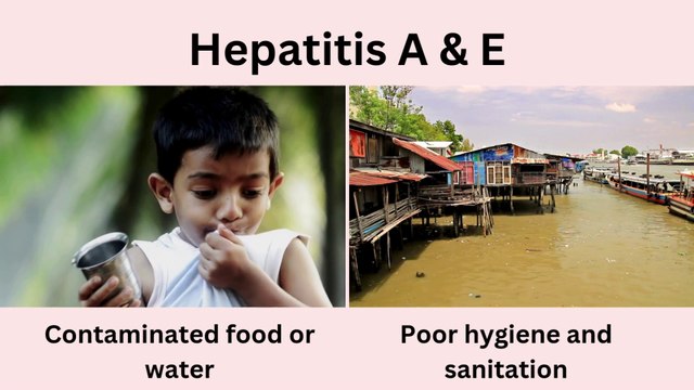 Infectious and Non-Infectious Diseases