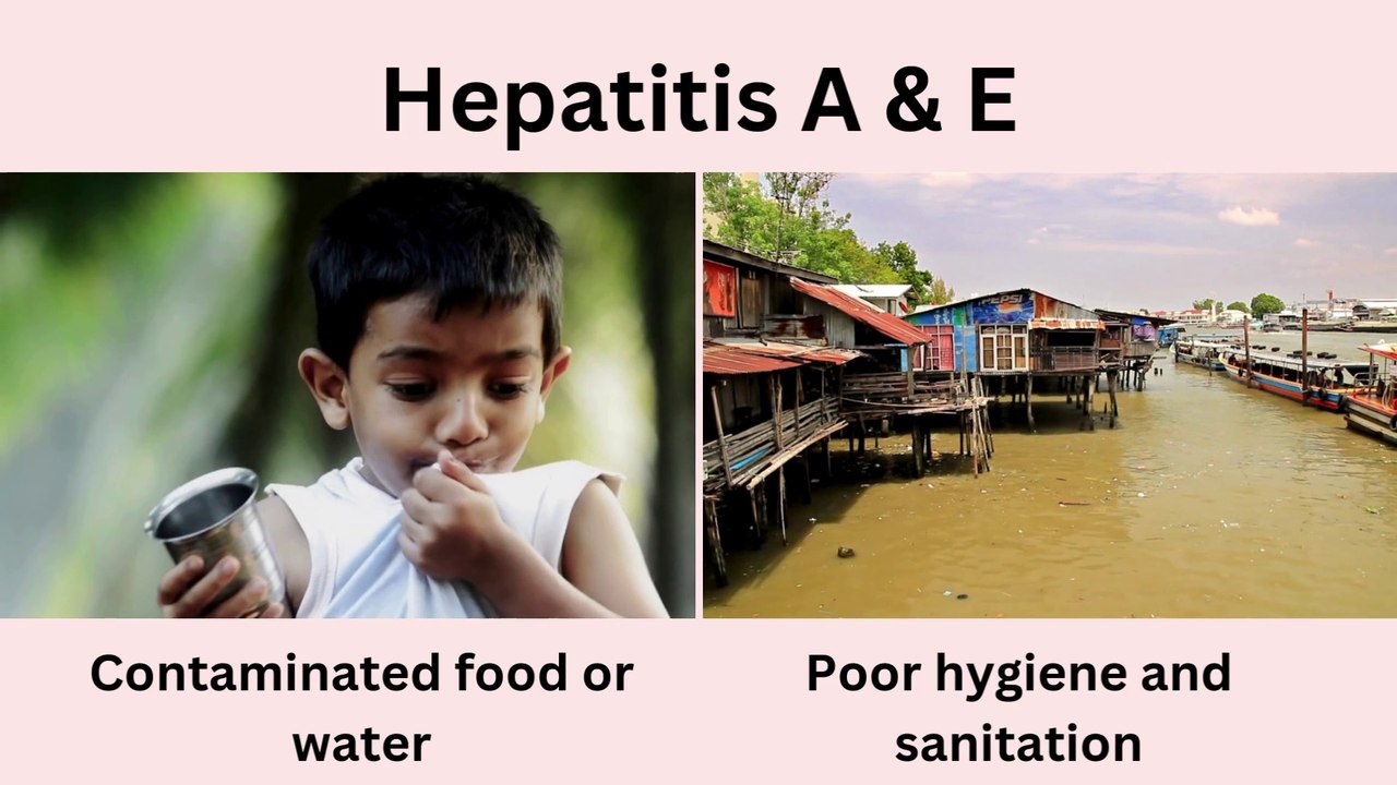 Infectious and Non-Infectious Diseases