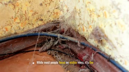 The Hidden Germ Hotspots in Your Home and How to Clean Them