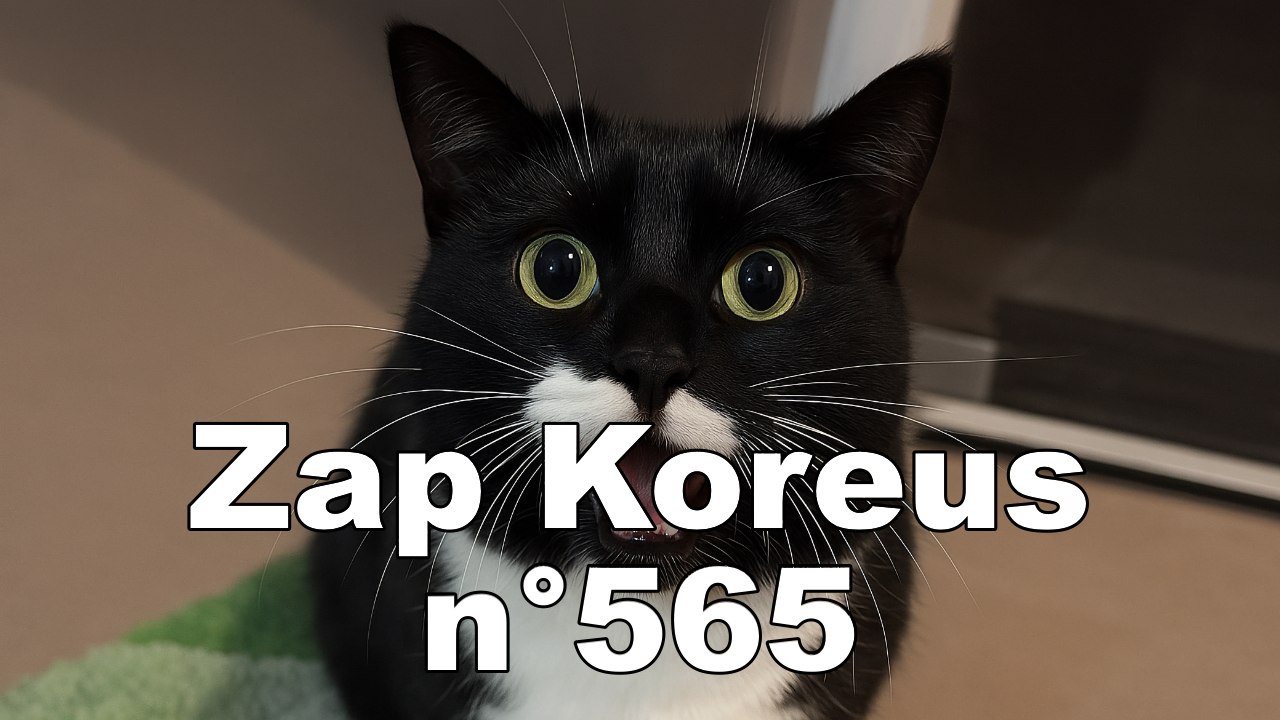Zap Koreus n°565