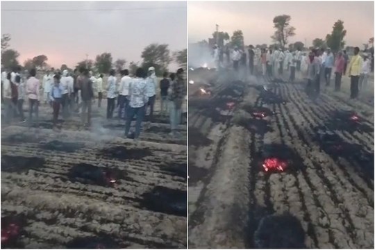 Alwar News: आंधी से विद्युत लाइन टूटी, खेत में पड़ी एक बीघा गेहूं की फसल राख, देखें वीडियो