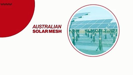 Is a Bird on Solar Panels Affecting Your System’s Performance