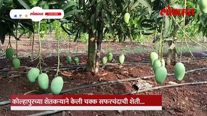 जम्मू काश्मीरमधील सफरचंदाची शेती आता पश्चिम महाराष्ट्रात करता येणार_1