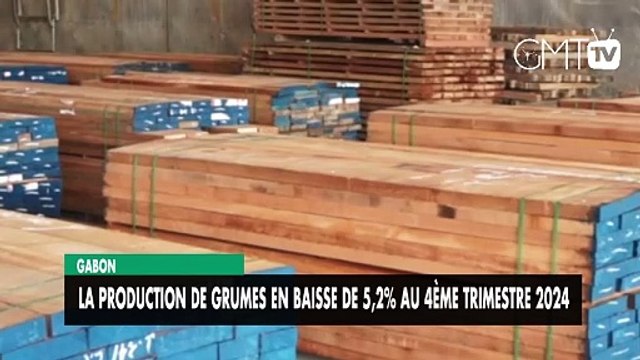 [#Reportage] Gabon : La production de grumes en baisse de 5,2% au 4ème trimestre 2024