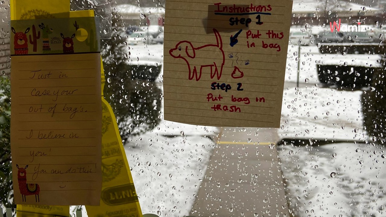 Il ne ramasse jamais les crottes de son chien : les voisins se mobilisent pour faire passer un message crucial