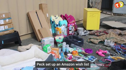 Real-Life Hero J Eddie Peck Tirelessly Saving 1000s of Lives! Here's How