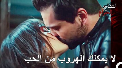 لا شيء يمكن أن يمنعني من حبك - التفاح الحرام