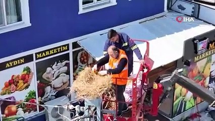 İş yerini "kirletiyor" gerekçesiyle leylek yuvasını kaldırtan esnafa tutanak tutuldu