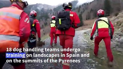 Search and rescue: French civil protection dogs go on training trips