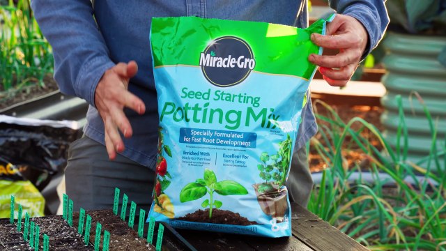 We Tested 8 Seed Starting Mixes, Here's What We Learned