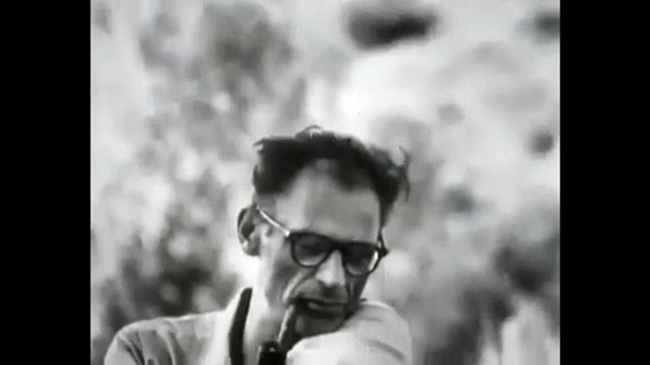 Les désaxés (1961) - Bande annonce