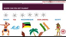 Where can you get infected with filaria?