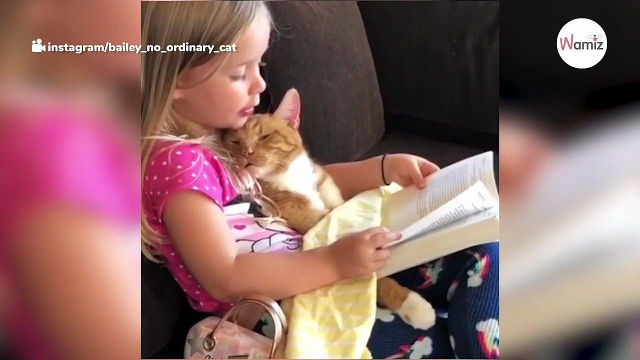 Mädchen singt ihrem Kätzchen ein Abschiedslied, bevor sie über die Regenbogenbrücke geht