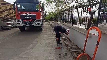 Şanlıurfa’da mazgala düşen yavru kedi kurtarıldı