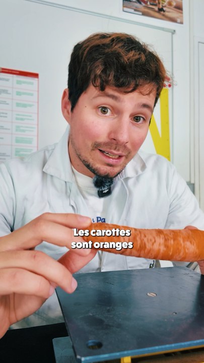 Vive les carottes
