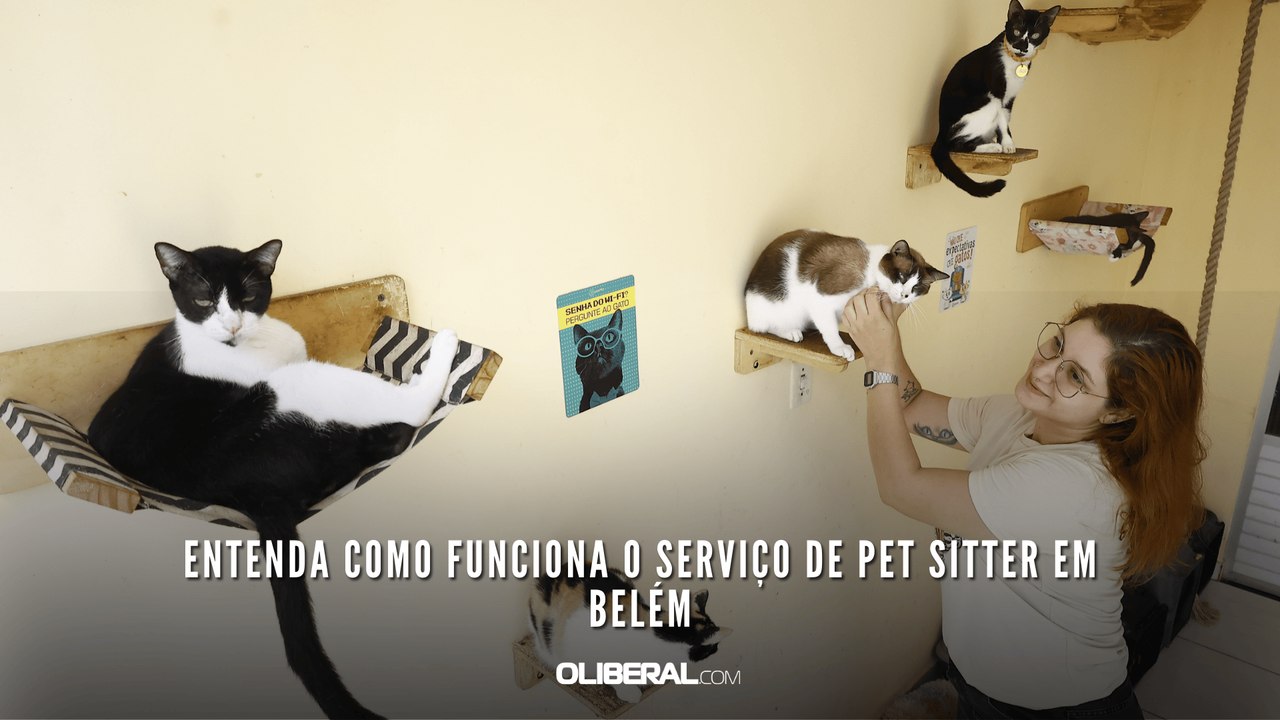 Entenda como funciona o serviço de pet sitter e...