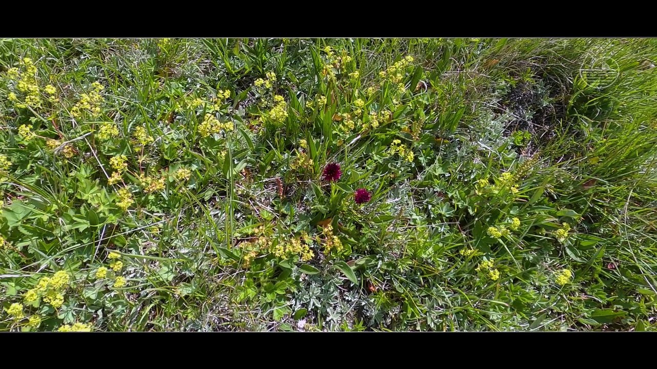ALTITUDE PECHE lac de montagne - Lacs de la Forclaz 2023