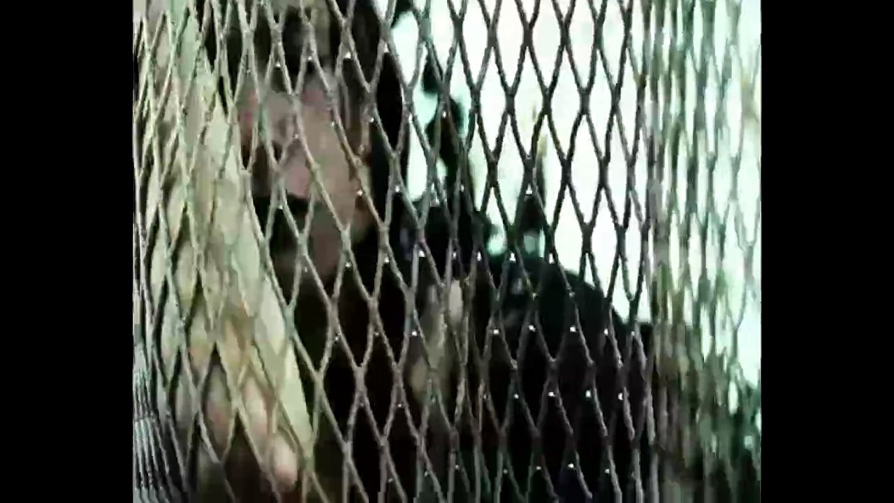 Ondine (2009) - Bande annonce