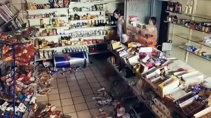 Les Crocodiles (2009) - Bande annonce