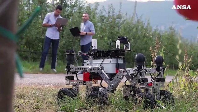 Contadini laureati, tecnologie e IA per l'agricoltura del futuro