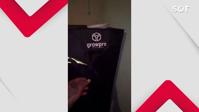 Operação Conjunta da PM e PF resulta em apreensão de drogas sintéticas e maconha no oeste do Paraná