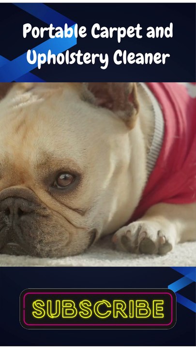 Little Green Multi-Purpose Portable Carpet and Upholstery Cleaner Car