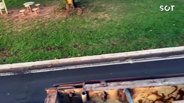 Carga milionária de cigarros contrabandeados apreendida pela PRF em Umuarama