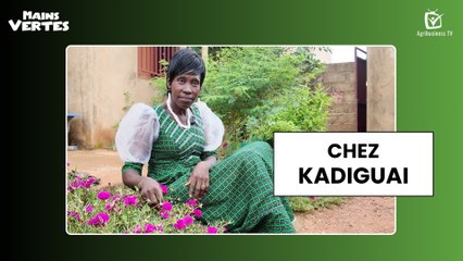 Mains Vertes chez Kadiguai SAWADOGO