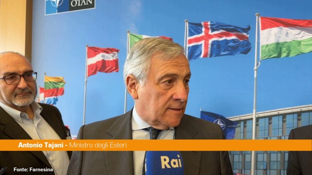 Difesa, Tajani Su spesa pronti a fare nostra parte, dazi non aiutano