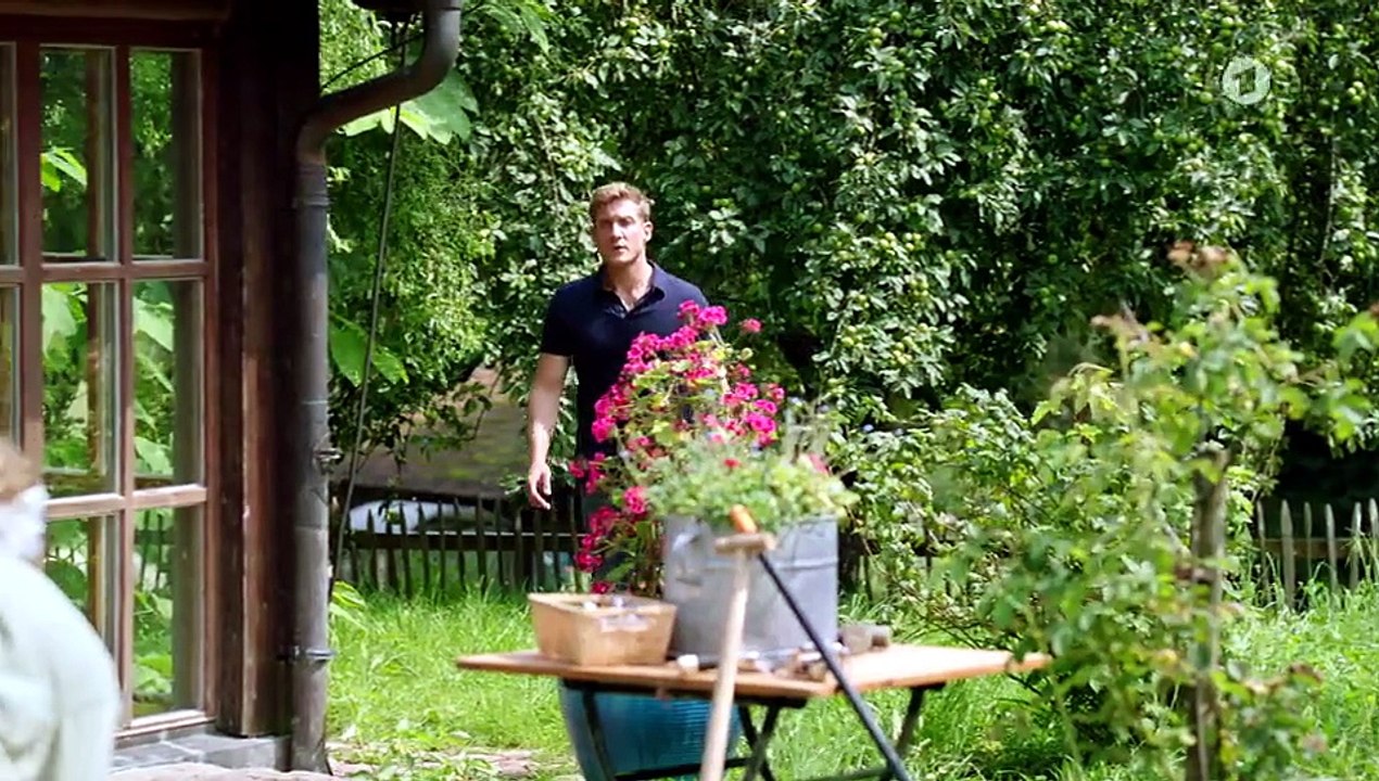 Sturm der Liebe Folge 4395 Theos Geburtstagsfeier