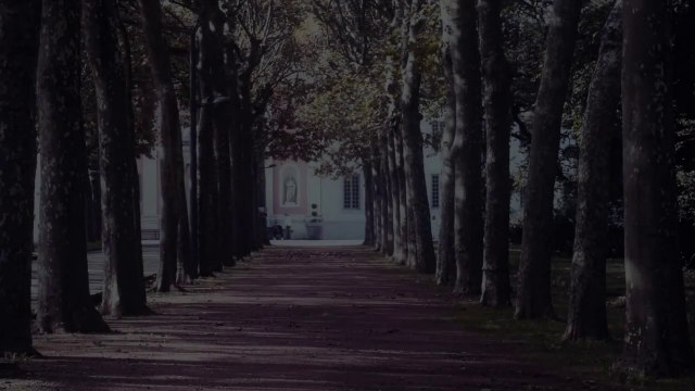 Éloge de la folie Bande-annonce VF