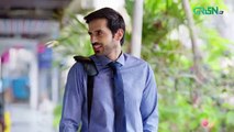 Na Tum Jano Na Hum Episode 03 - 4th April 2025 - Green TV