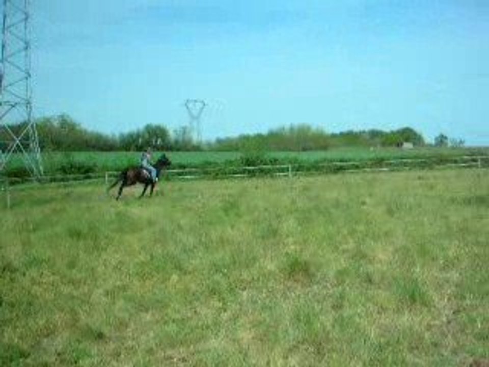 DSCN9112