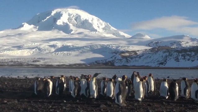 This is the barren, uninhabited island Trump has imposed 10% tariffs on
