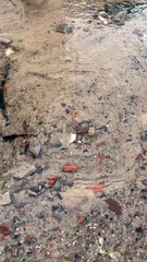 Vazamento d'água na rua Roberto de Carvalho, Passaré, nesta sexta-feira, 4