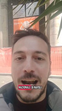 Granato - Il Museo Archeologico Nazionale di Napoli (04.04.25)