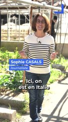 Psychologue & Agriculteur, il accompagne les personnes en difficulté psychique