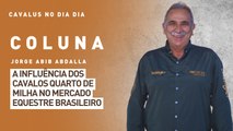 Cavalus no Dia Dia: A influência dos cavalos quarto de milha no mercado equestre brasileiro.
