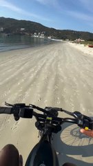 Viralizou - Cachorro caramelo fiscaliza veículo durante caminhada em praia