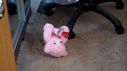 Recuperan el cuerpo de una niña víctima de un ataque ruso en Járkov